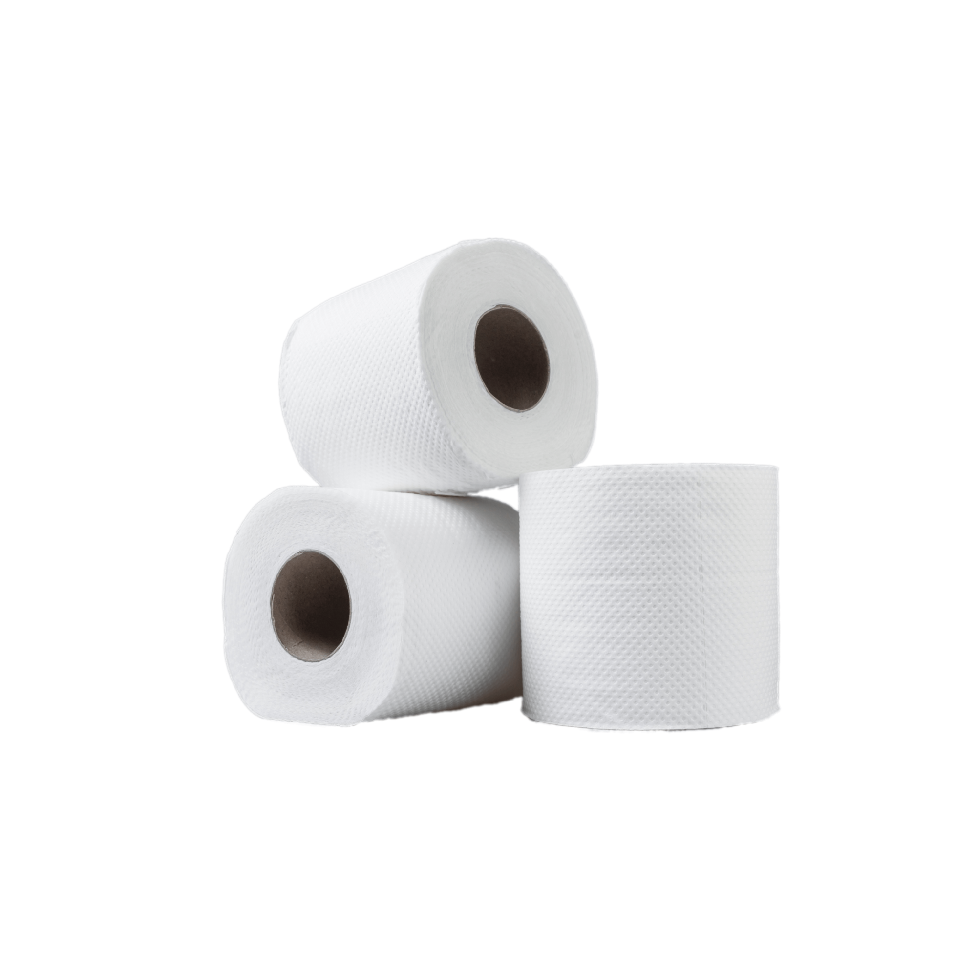 petits-rouleaux-de-papier-toilette