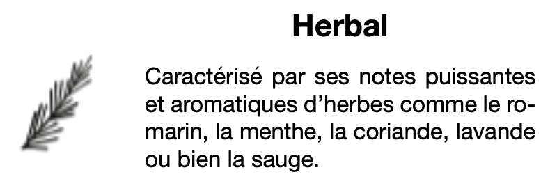 recharge parfum aérosol senteur herbal
