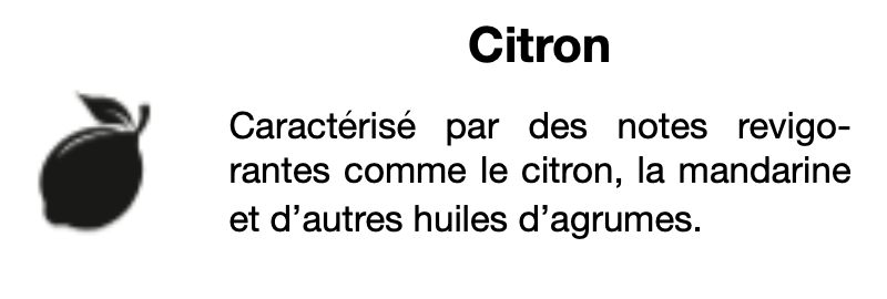 recharge parfum aérosol senteur citron