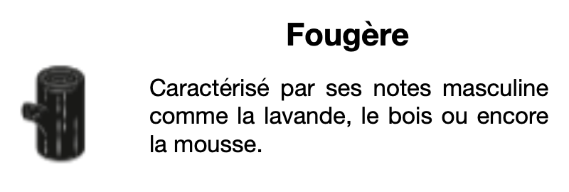 recharge parfum aérosol senteur fougère