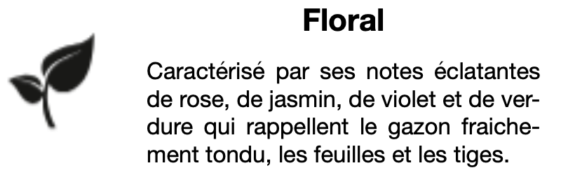 recharge parfum aérosol senteur floral
